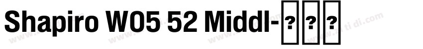 Shapiro W05 52 Middl字体转换 Shapiro W05 52 Middl字体转换